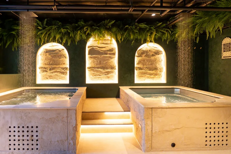 Venetian Plaster & Estecha Commercial Feature
