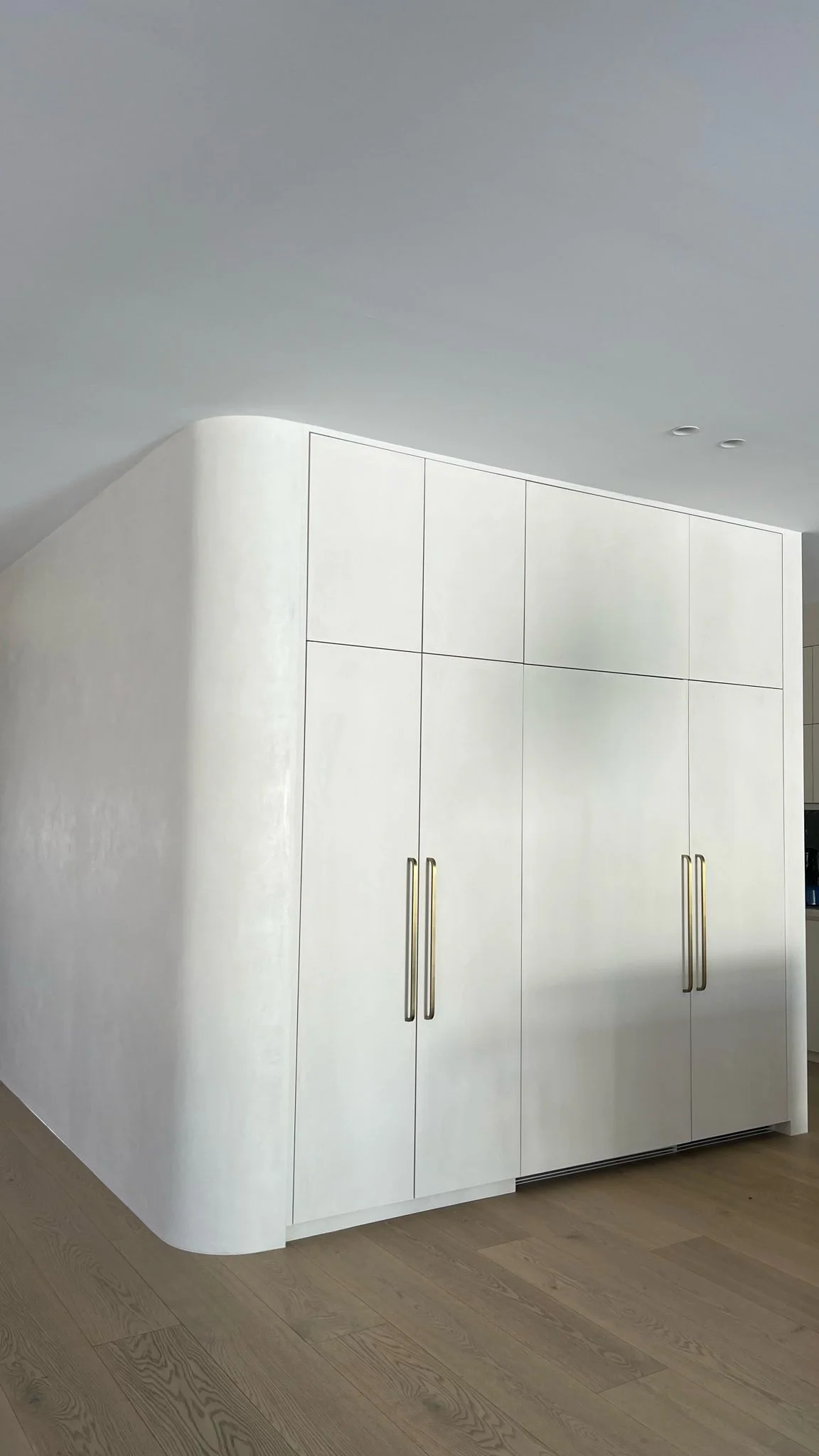 Venetian Plaster Walls & Joinery